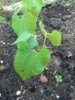 20160626_204456.jpg