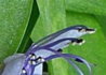 image-1.jpg