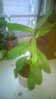 WP_20160627_002.jpg