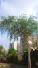 20160702_084032.jpg