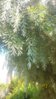 20160702_084131.jpg