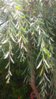 20160702_084148.jpg