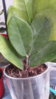 20160702_205324.jpg