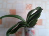 20160310_111416.jpg