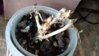 20160703_193930.jpg