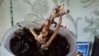 20160703_194205.jpg