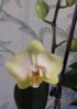 20160515_090212.jpg