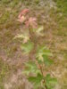 0108_192750.jpg