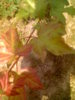 0108_193026.jpg