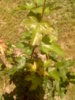 0108_193045.jpg