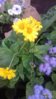 20160705_185809.jpg