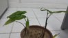 20160708_163156.jpg