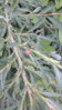 20160707_184829.jpg