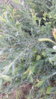 20160707_184844.jpg