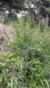 20160709_140837.jpg