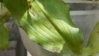 DSCN0868.JPG