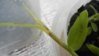 DSCN0874.JPG