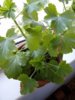 20160710_152319.jpg