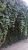 IMG_15062016_205226.jpg