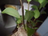 DSCF1848.JPG