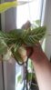 20160712_192946.jpg