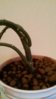 20160712_204253.jpg