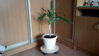 20160713_174054.jpg