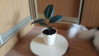20160713_174229.jpg