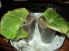 DSC01834.JPG