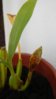 DSCN0879.JPG