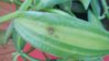DSCN0881.JPG