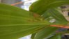 DSCN0887.JPG