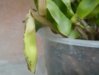 DSCN0895.JPG