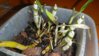 DSCN0899.JPG