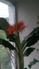 IMG_20160717_162315_1.jpg