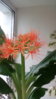 IMG_20160717_162350.jpg