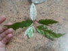 20160718_012404.jpg
