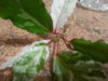 20160718_012415.jpg