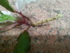 20160718_012432.jpg