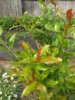 IMG_20160720_115951_BURST3.jpg
