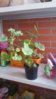 20160723_122923.jpg