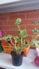 20160723_122940.jpg