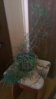 IMAG0339.jpg