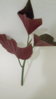 20160730_222534.jpg