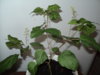 DSC09673.JPG