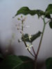 DSC09678.JPG