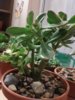 20160803_215110.jpg