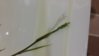 20160729_201801.jpg