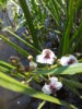 20160731_123707.jpg