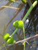 20160731_123717.jpg